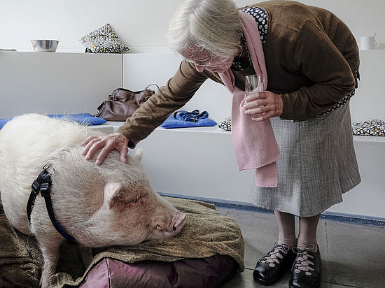 Seniorin streichelt ein Therapieschwein