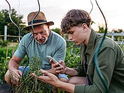 Junger Mann und älterer Mann betrachten gemeinsam ein Smartphone im Garten.