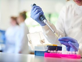 Pipettieren von Proben im Labor – Forschung an neuen Wirkstoffen.