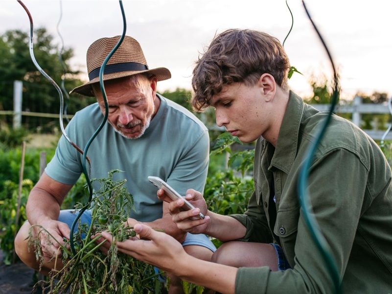 Junger Mann und älterer Mann betrachten gemeinsam ein Smartphone im Garten.